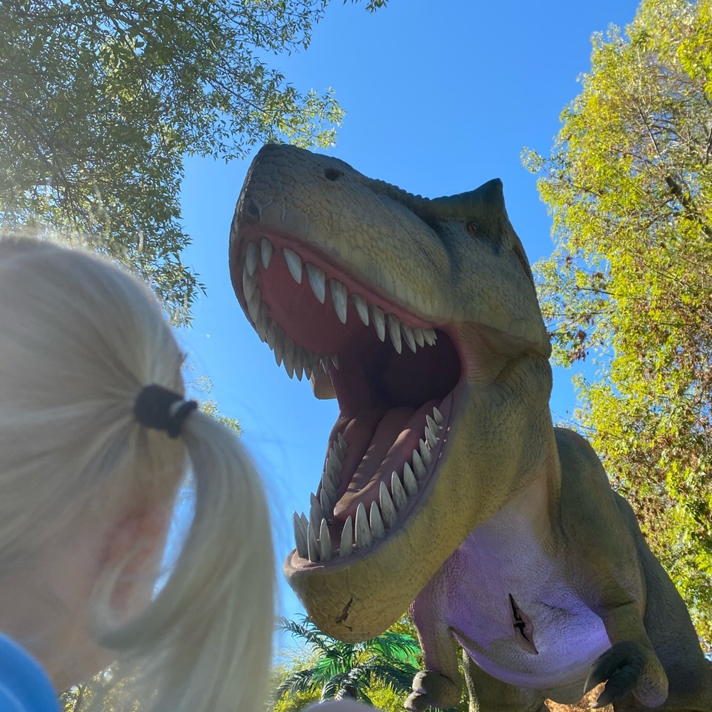 Meet your Posher, Kristen